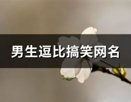 有趣的网名男,揭秘男生们的独特个性