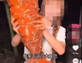 网红博主吃瓜鲨鱼,法律与道德的拷问