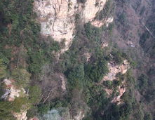 吃瓜网张家界,吃瓜网带你探索神秘山城美食之旅