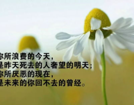 正能量励志经典语录短句,正能量励志经典语录精选