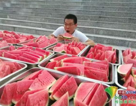高校网课吃瓜,网络课堂的意外“笑料”与反思