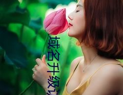 岳风柳萱小说最新章节目录,逆袭之路，赘婿变神婿的传奇历程